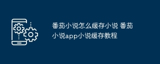番茄小说怎么缓存小说 番茄小说app小说缓存教程