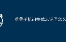 苹果手机id格式忘记了怎么办