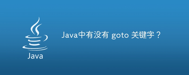 Java中有没有 goto 关键字？