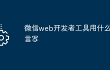 微信web开发者工具用什么语言写