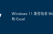 Windows 11 是否包含 Word 和 Excel
