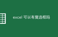 excel 可以有复选框吗