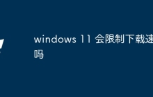 windows 11 会限制下载速度吗
