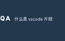 什么是 vscode 片段
