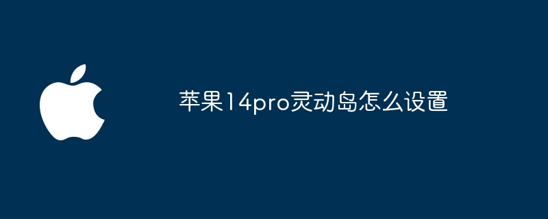 苹果14pro灵动岛怎么设置