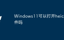 Windows11可以打开heic文件吗