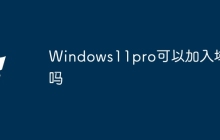 Windows11pro可以加入域吗
