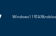 Windows11可以玩roblox吗