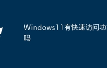 Windows11有快速访问功能吗