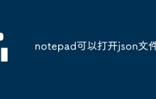 notepad可以打开json文件吗