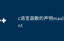 c语言函数的声明maxlint