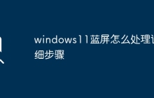 windows11蓝屏怎么处理详细步骤
