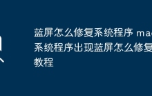 蓝屏怎么修复系统程序 mac系统程序出现蓝屏怎么修复教程
