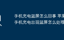 手机充电蓝屏怎么回事 苹果手机充电出现蓝屏怎么处理