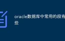 oracle数据库中常用的段有哪些