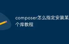 composer怎么指定安装某一个库教程