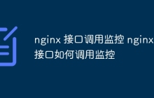 nginx 接口调用监控 nginx 接口如何调用监控