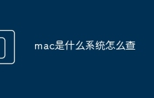 mac是什么系统怎么查