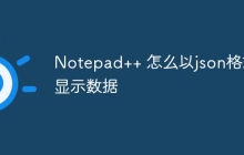 Notepad++ 怎么以json格式显示数据