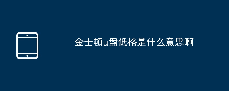金士顿u盘低格是什么意思啊
