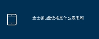 金士顿u盘低格是什么意思啊