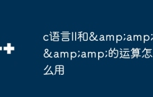 c语言ll和&amp;&amp;的运算怎么用