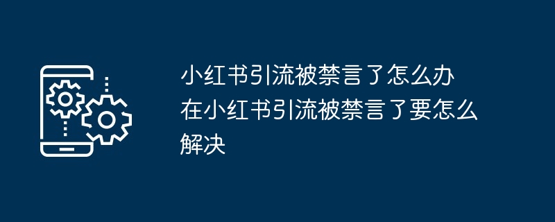 小红书引流被禁言了怎么办 在小红书引流被禁言了要怎么解决