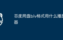 百度网盘blv格式用什么播放器
