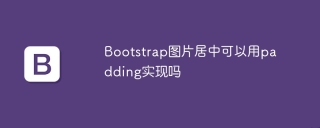 Bolehkah saya menggunakan padding untuk memusatkan imej bootstrap?