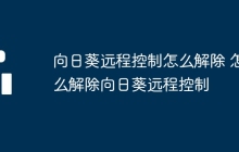 向日葵远程控制怎么解除 怎么解除向日葵远程控制