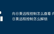 向日葵远程控制怎么查看 向日葵远程控制怎么解锁