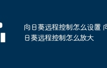 向日葵远程控制怎么设置 向日葵远程控制怎么放大