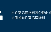 向日葵远程控制怎么禁止 怎么删掉向日葵远程控制