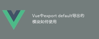 How to use the export default module exported in Vue
