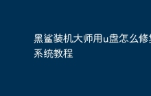 黑鲨装机大师用u盘怎么修复系统教程