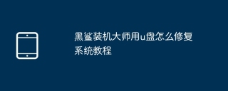 黑鲨装机大师用u盘怎么修复系统教程