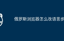 俄罗斯浏览器怎么改语言步骤