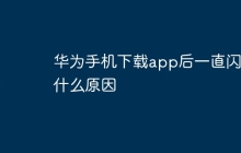 华为手机下载app后一直闪退什么原因