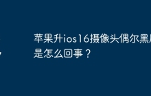 苹果升ios16摄像头偶尔黑屏是怎么回事？