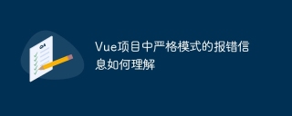 Vue项目中严格模式的报错信息如何理解