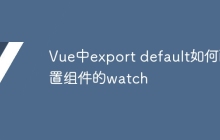 Vue中export default如何配置組件的watch