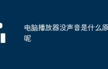 电脑播放器没声音是什么原因呢