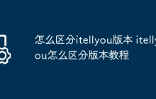 怎么区分itellyou版本 itellyou怎么区分版本教程