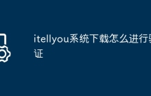 itellyou系统下载怎么进行验证