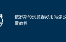 俄罗斯的浏览器好用吗怎么设置教程