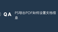 PS Export PDF에서 문서 정보를 설정하는 방법
