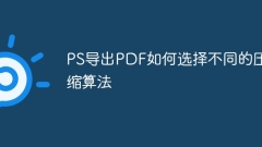 How to choose different compression algorithms for exporting PDFs on PS