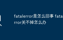 fatalerror是怎么回事 fatalerror关不掉怎么办
