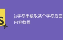 js字符串截取某个字符后面的内容教程