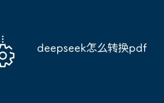 How to convert deepseek pdf